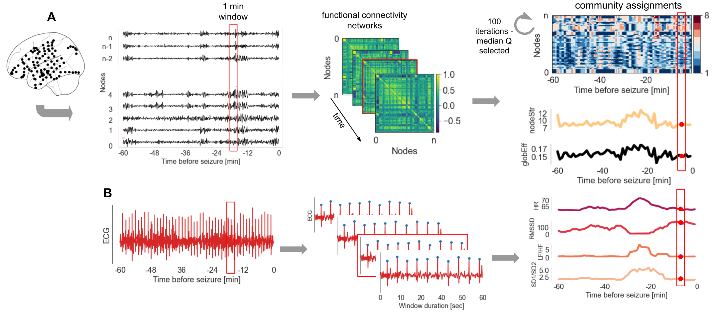 calculation of temporal changes in HRV and network properties
