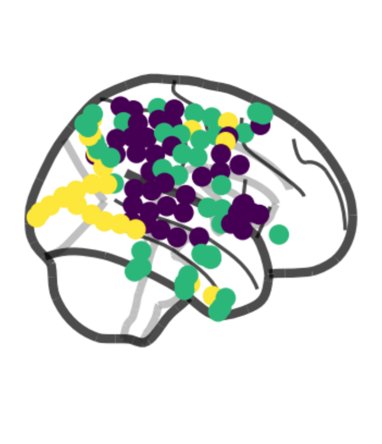 Unlocking Brain and Body Signals